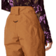 Mountain Hardwear Cloud Bank GORE-TEX Pant - Womens, Copper Clay, Extra Large, 2092461257-XL-R