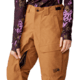 Mountain Hardwear Cloud Bank GORE-TEX Pant - Womens, Copper Clay, Extra Large, 2092461257-XL-R
