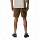 Mountain Hardwear Hardwear AP Active Shorts - Mens, Corozo Nut, 36, 2024981239-Corozo Nut-36-R