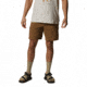 Mountain Hardwear Hardwear AP Active Shorts - Mens, Corozo Nut, 36, 2024981239-Corozo Nut-36-R