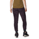 Mountain Hardwear Monkey/2 Pant - Women's, Blurple, Large, Long, OL8892599-L-L