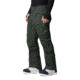 Mountain Hardwear Sky Ridge Gore-Tex Pant - Men's, Black Sage, Medium, Regular, OM8937306-M-R