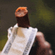 MTN OPS Big Meat Stick, Jalapeno Pepperjack, 1 Serving, 4152191301