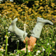 Muck Boots Rainscape 12in Boots - Womens