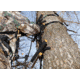 Muddy Outfitter Sticks, includes Silent cam-buckle fastening straps, Black MCS1000