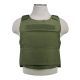 Vism Discreet Plate Carrier, Green, Medium - 2XL, CVPCVD2975G