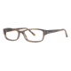Nicole Miller Crosby Eyeglass Frames - Frame Brown Horn, Size 55/15mm NMCROSBY02