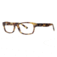 Nicole Miller Greene Eyeglass Frames - Frame Tortoise, Size 51/14mm NMGREENE02