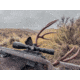 NightForce NX6 5-30x56mm F1 34mm Tube Rifle Scope, First Focal Plane