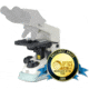 Nikon E 100 Base Only Microscope - 2009 Brilliance Awards Customer Choice Winner: Microscope of the Year