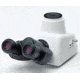 Nikon Microscopes Trinocular Eyepiece