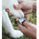 Nite Ize DoohicKey Pet Tool, Stainless KMTDT-11-R6