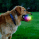 Nite Ize Glowstreak Wild Led Ball - Disc-o - GSBW-07-R8