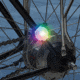 Nite Ize GoLit Visibility Light, N05417