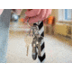 Nite Ize Keyring Microlink - RL-11-R3