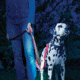 Nite Ize LeashLit LED Micro Flashlight, Blue BGTP-03-R7