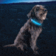 Nite Ize Nitedog LED Collar Cover, N05462