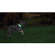 Nite Ize Nitedog LED Collar Cover, N05462