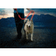 Nite Ize Nitedog Rechargeable Leash, N05463