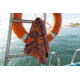 Nomadix Mini Towel, Leaf Me Alone Orange, One Size, DA-LFAL-102