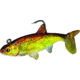 Northland Live-Forage Swimbait 1/4 oz, 2in 1/Cd Gold Shiner, LFS4-12