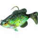 Northland Live-Forage Swimbait 1/8 oz, 2in 1/Cd Crappie, LFS3-28