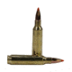 Nosler 22 55gr Ballistic Tip /20 60015