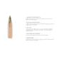 Nosler .22 Nosler, E-Tip , 55 grain, Brass Cased, 20 Rounds, 40140