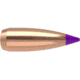 Nosler 24055 Ballistic Tip Varmint 6mm .243 55 GR Spitzer 100 Box