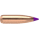 Nosler 24080 Ballistic Tip Varmint 6mm .243 80 GR Spitzer Point 100 Box