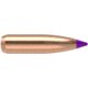 Nosler 24090 Ballistic Tip Hunting 6mm .243 90 GR Ballistic Tip Hunting 50 Box