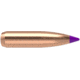 Nosler 24095 Ballistic Tip Hunting 6mm .243 95 GR Spitzer 50 Box