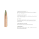 Nosler .270 Winchester Short Magnum, E-Tip , 130 grain, Brass Cased, 20 Rounds, 40142