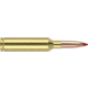 Nosler Ballistic Tip