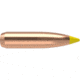 Nosler Bullet 270 cal 170gr Ballistic Tip, 50ct, 28135
