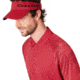 Oakley Graphic Logo Sleeves Polo - Mens, Raspberry, Extra Large, 434433-45A-XL