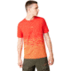 Oakley Logo Digital Tee - Mens, High Risk Red, Large, 457926-43A-L