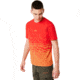 Oakley Logo Digital Tee - Mens, High Risk Red, Large, 457926-43A-L