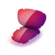 Oakley Split Jacket Replacement Lens Kit - Lt+Red Iridium Vented 43-333