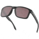 Oakley Standard Issue Holbrook Banded Collection Sunglasses, Matte BLACK w/Prizm Daily Polarized, OO9102-C255