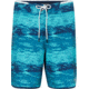 Oakley Water Boardshort 19 - Mens, Blue Water Print, 31, FOA400211-93Q-31