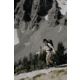 Oboz Katabatic RT Low GTX Hiking Shoes - Womens