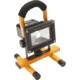Olympia Floodlight, 970 Lumens FL970