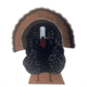 Oncore Targets Struttin Turkey Self-Healing Archery Target, Black/Brown/Red/Blue/White, Medium, T3