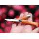 Opinel Carbon Steel Folding Knife No.5, 2.5in, Beechwood Handle, Wood, 111050