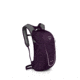 Osprey Daylite, Amulet Purple, 10001969