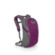 Daylite Detachable Daypack-Pomegranate Purple