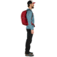 Osprey Talon 22 Pack, Cosmic Red, Small/Medium, 10002709