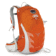 Talon 22 Pack -Flame Orange-S/M