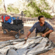 Outbound Outdoor Collapsible Utility Wagon, 150 lb Capacity, Black, CTI0763211